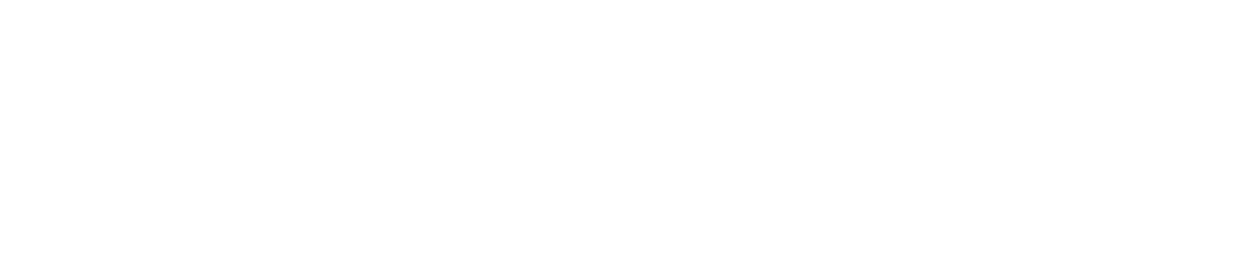 Noda Logotype